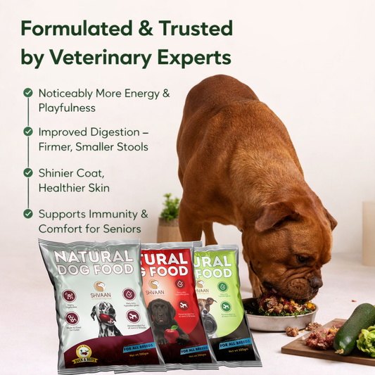 Gourmet Trio – Easy Starter Combo (3 x 200 g)