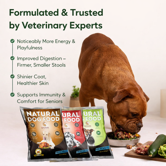 Balanced Bites – Easy Starter Combo (3 x 200 g)