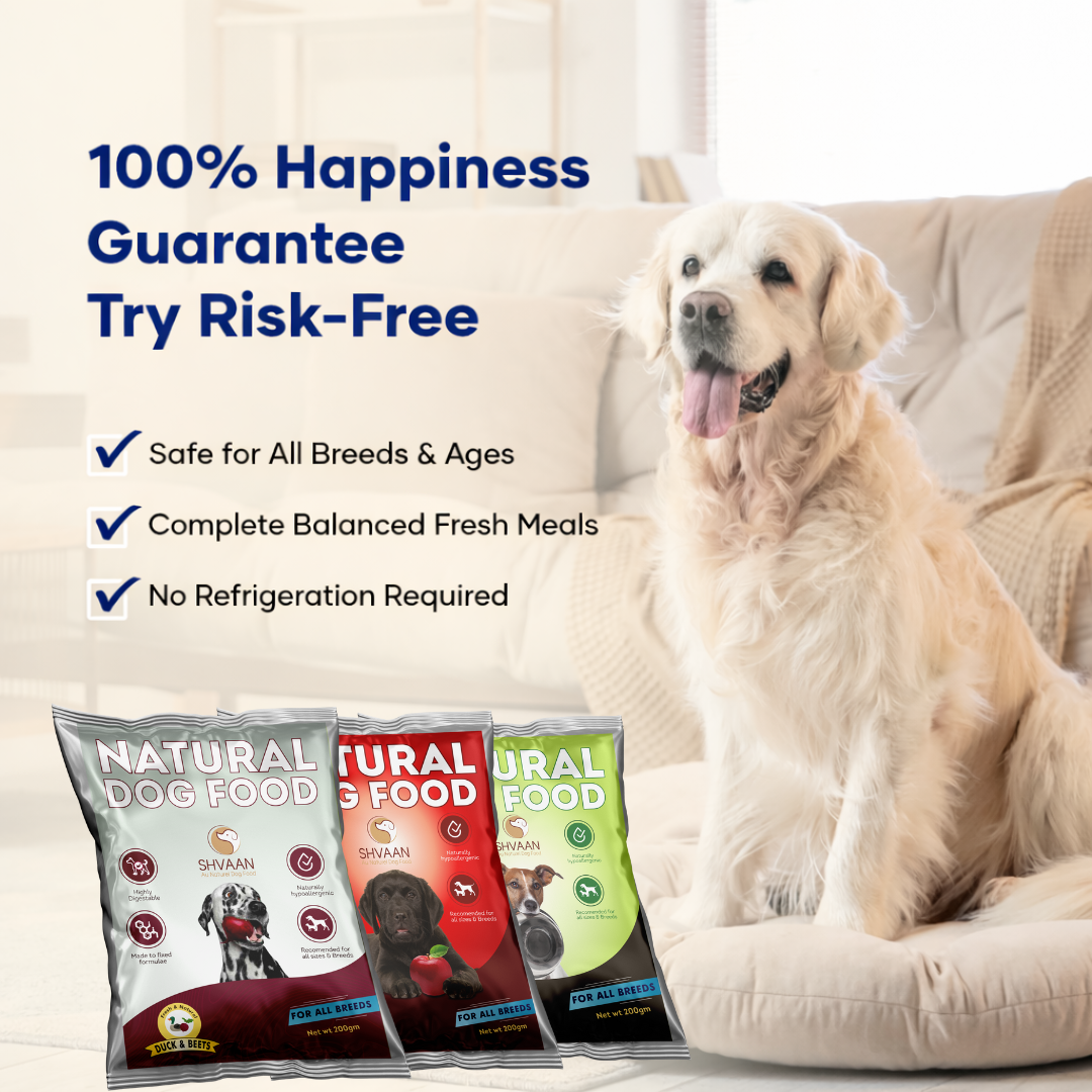 Gourmet Trio – Easy Starter Combo (3 x 200 g)