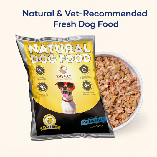 Chicken and Mango - Fresh Human-Grade Wet Dog Food 200 g