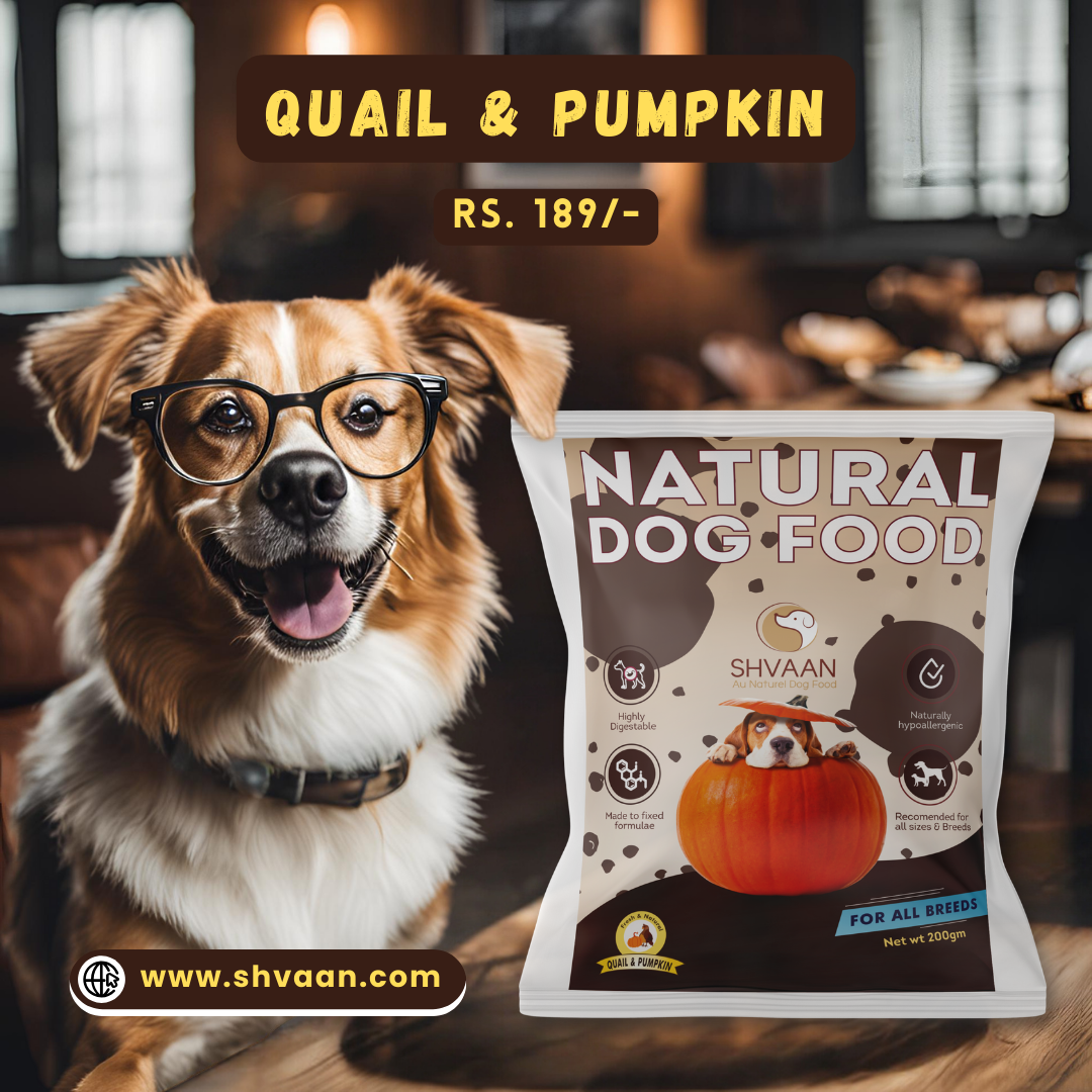 Mixing pumpkin in dog food discount