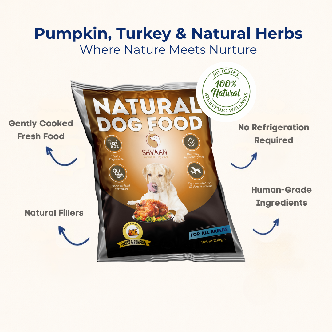 Turkey and Pumpkin Wet Dog Food 200 g | Lean Human-Grade Meal