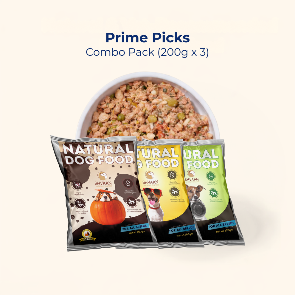 Prime Picks – Easy Starter Combo (3 x 200 g) | Fresh Human-Grade Wet ...