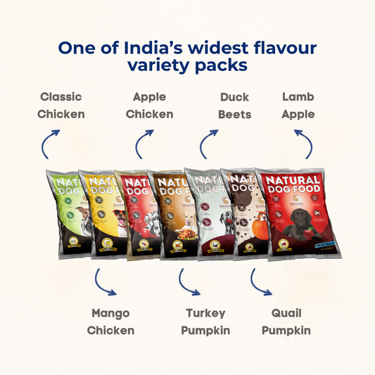 7 Flavor Trial Pack × 200 g – Fresh Wet Dog Food Sampler
