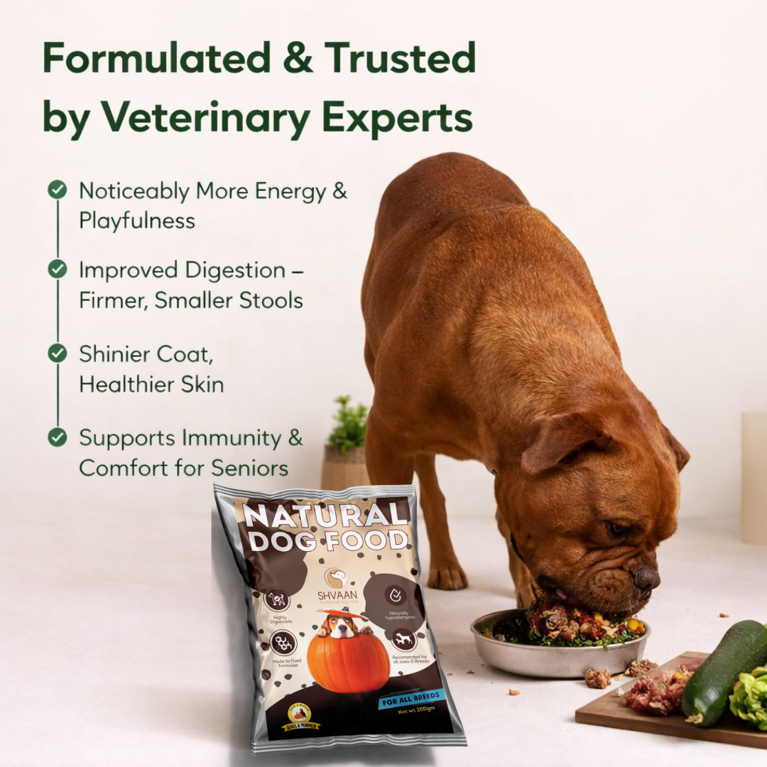 Quail and Pumpkin - Fresh Human-Grade Wet Dog Food 200 g