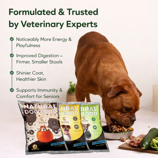 Prime Picks – Easy Starter Combo (3 x 200 g)