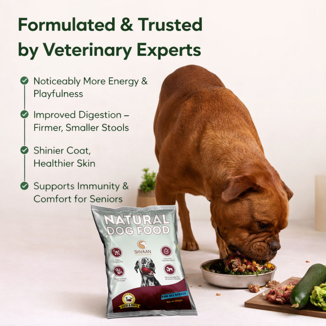 Duck and Beet - Fresh Human-Grade Wet Dog Food 200 g