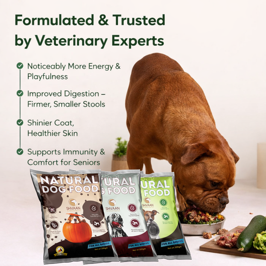 Nature’s Feast – Easy Starter Combo (3 x 200 g)