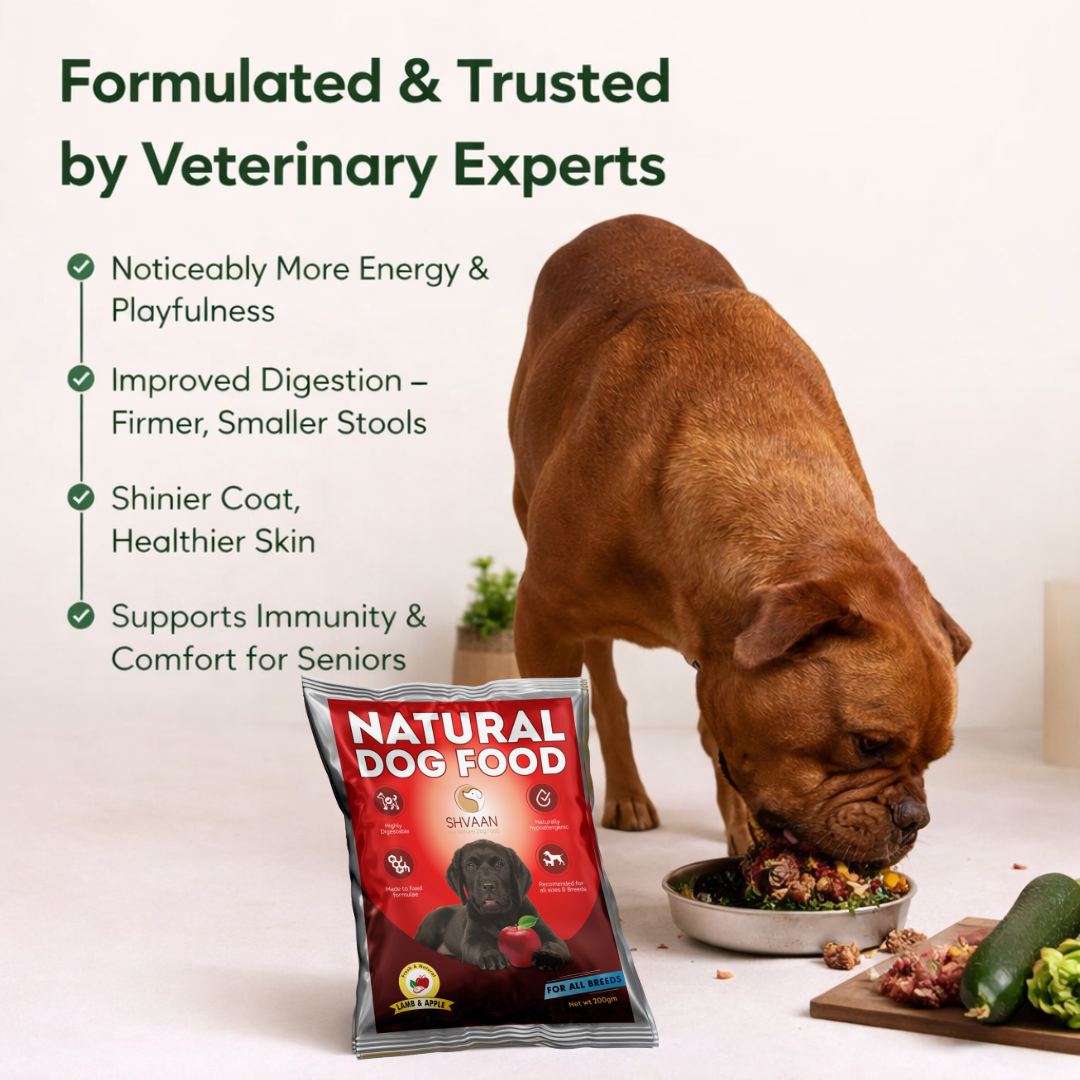 Lamb Meat and Apple - Fresh Human-Grade Wet Dog Food 200 g