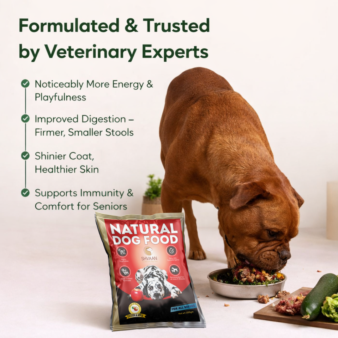 Chicken and Apple - Fresh Human-Grade Wet Dog Food 200 g