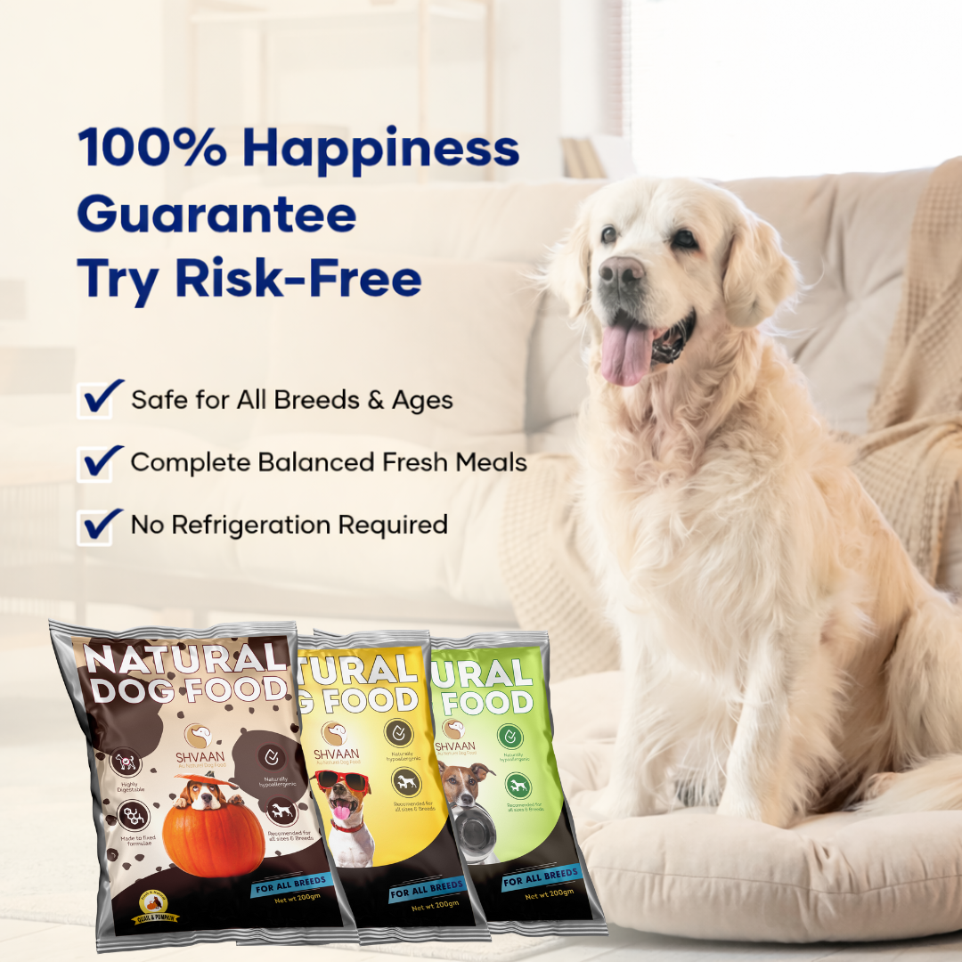 Prime Picks – Easy Starter Combo (3 x 200 g)