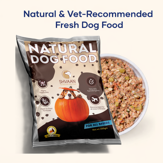 Quail and Pumpkin - Fresh Human-Grade Wet Dog Food 200 g