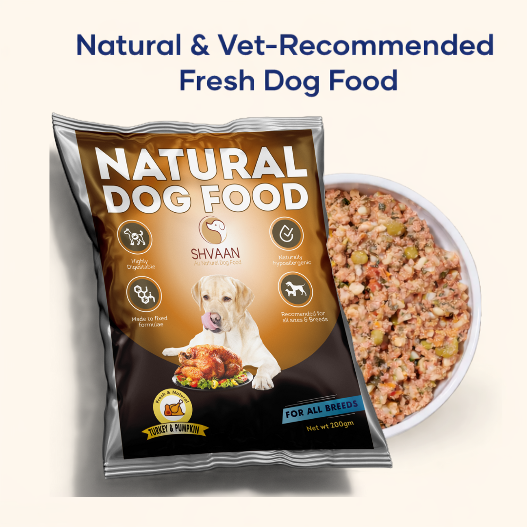 Turkey and Pumpkin Wet Dog Food 200 g | Lean Human-Grade Meal