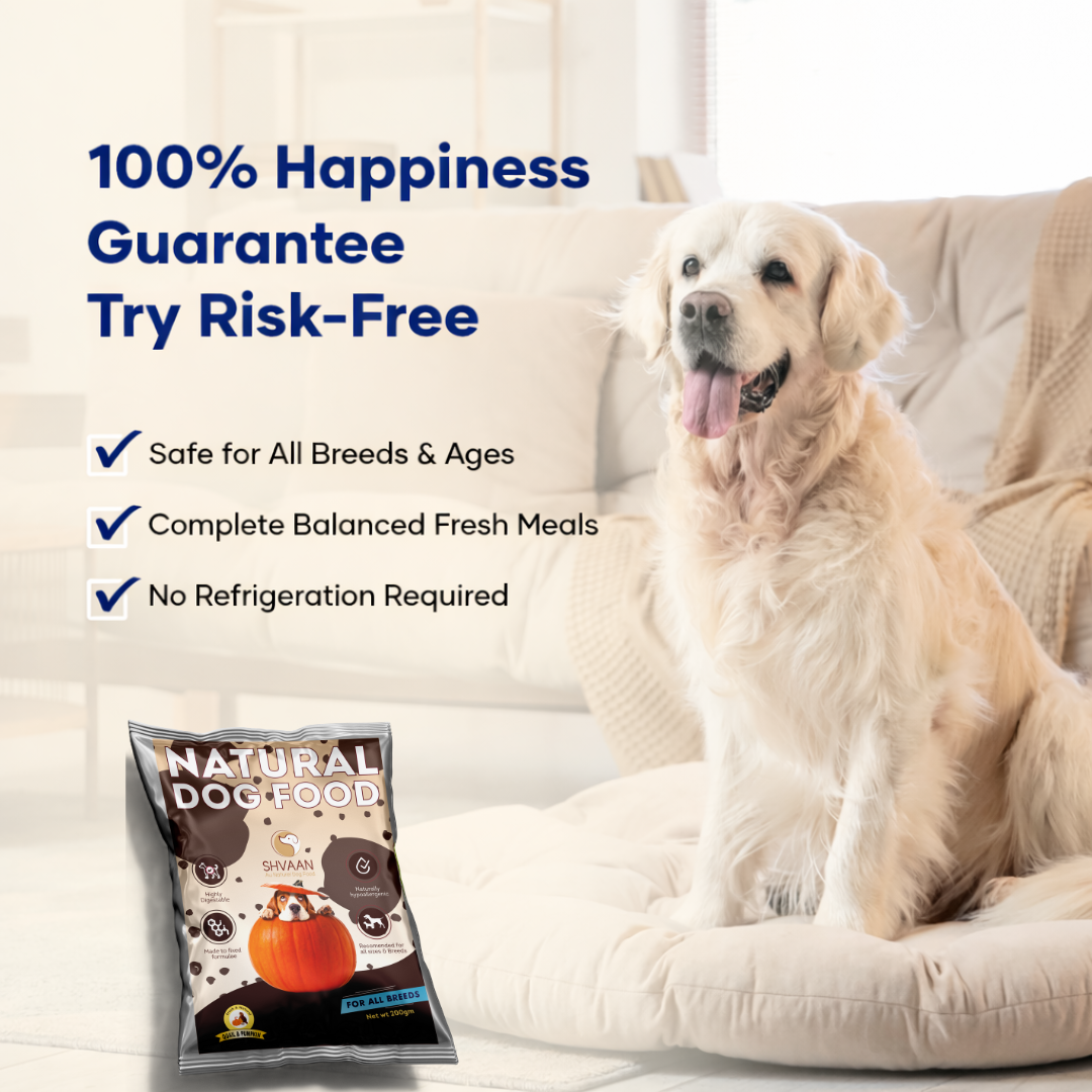 Quail and Pumpkin - Fresh Human-Grade Wet Dog Food 200 g