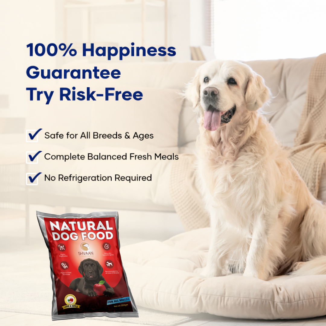 Lamb Meat and Apple - Fresh Human-Grade Wet Dog Food 200 g