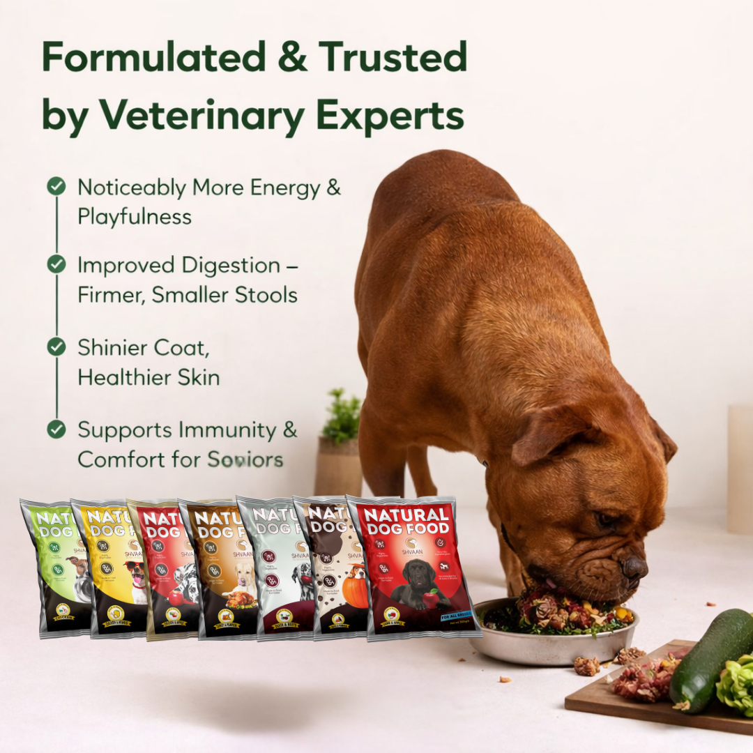 7 Flavor Trial Pack × 200 g – Fresh Wet Dog Food Sampler