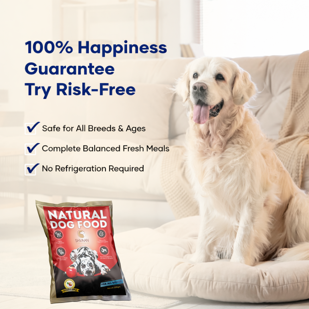 Chicken and Apple - Fresh Human-Grade Wet Dog Food 200 g