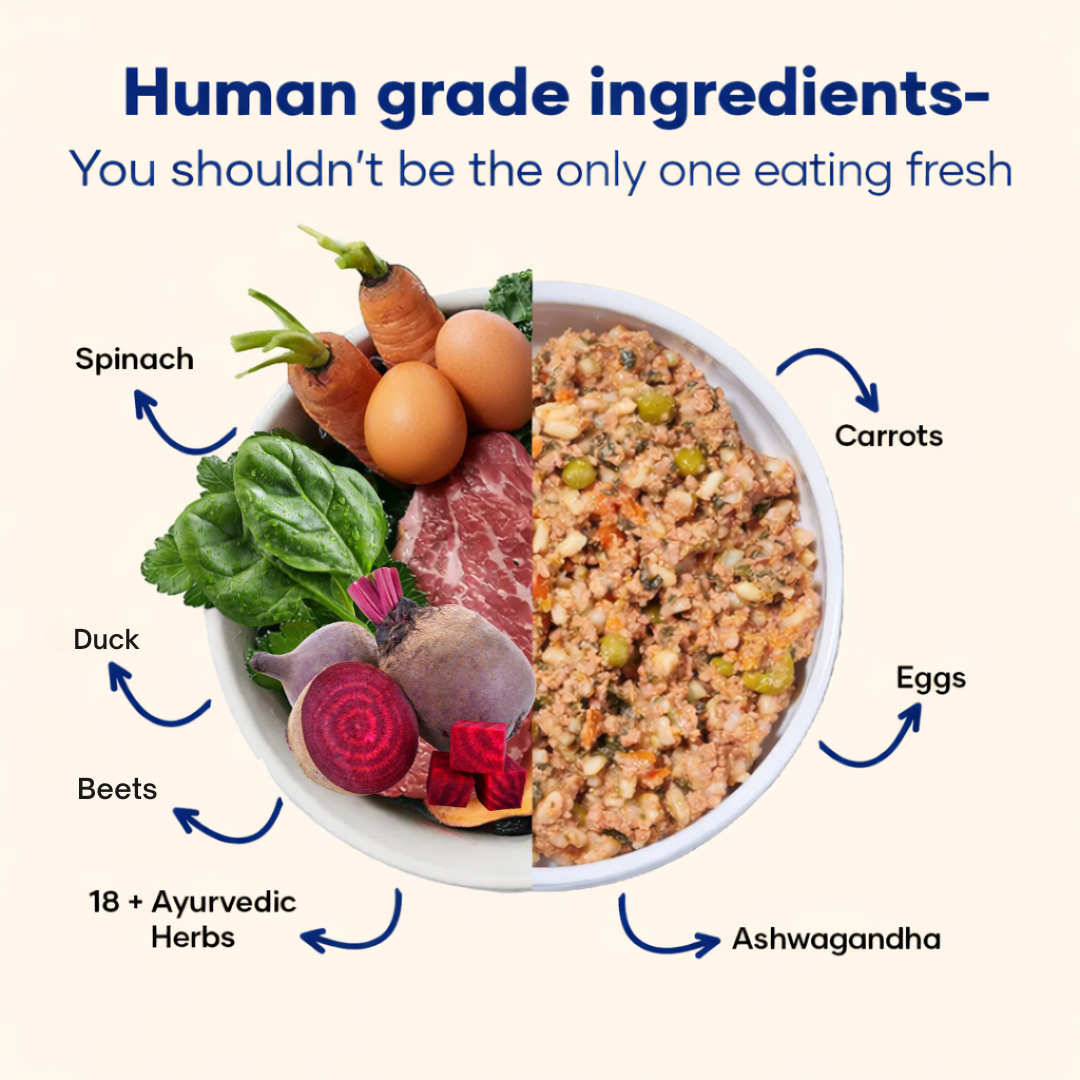 Duck and Beet - Fresh Human-Grade Wet Dog Food 200 g