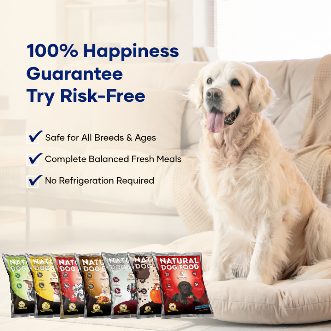 7 Flavor Trial Pack × 200 g – Fresh Wet Dog Food Sampler