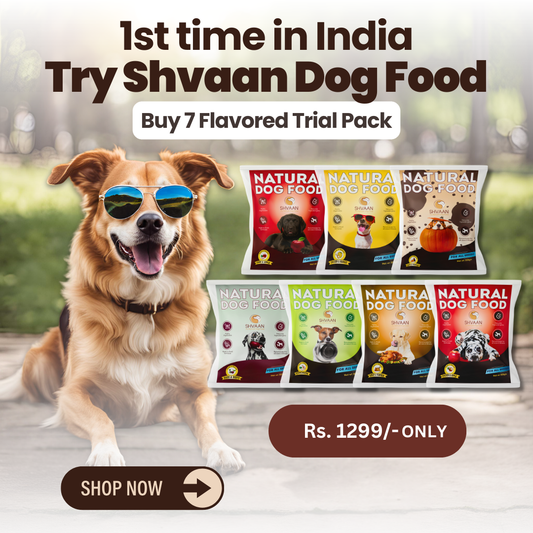 7 Flavor Trial Pack × 200g