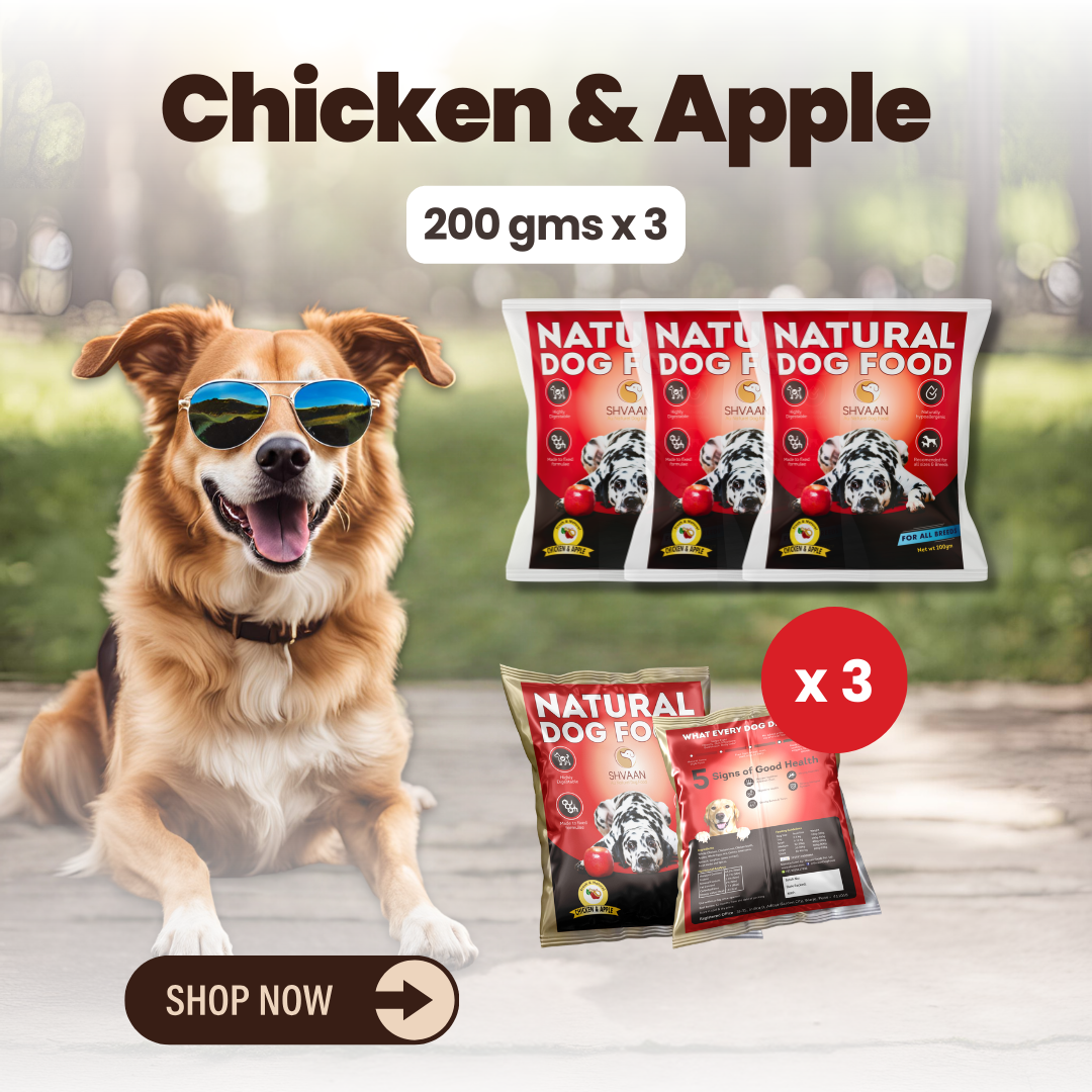 Chicken and Apple - Wet Dog Food 200g