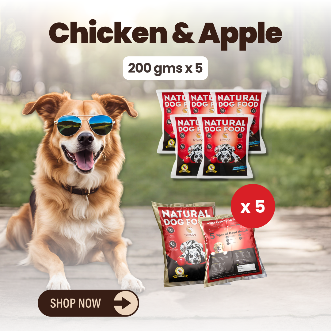 Chicken and Apple - Wet Dog Food 200g