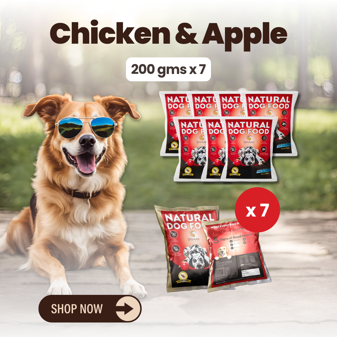 Chicken and Apple wet dog food 7 pack – bulk combo offer with apples & Ayurvedic herbs – Shvaan Foods