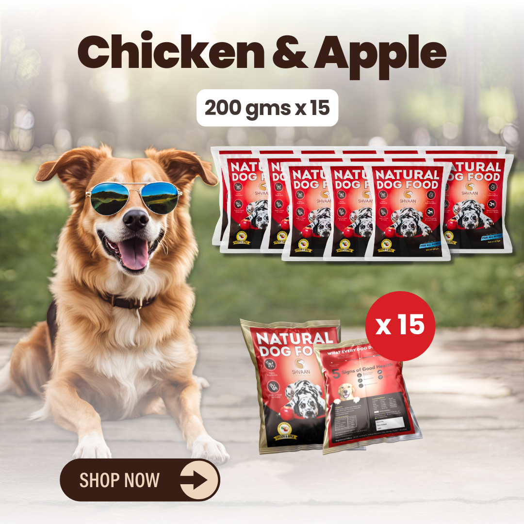 Chicken and Apple wet dog food 15 pack – bulk combo offer with apples & Ayurvedic herbs – Shvaan Foods