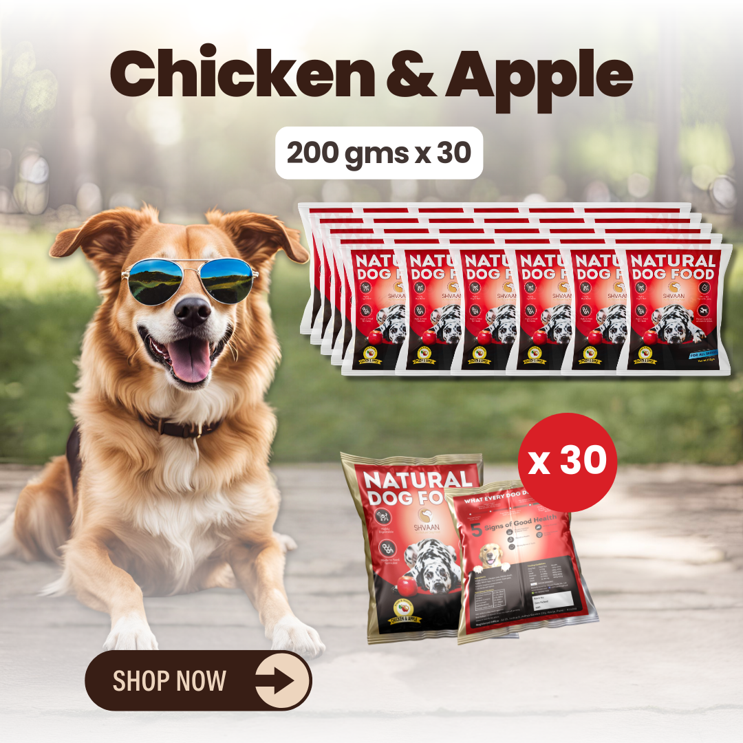 Chicken and Apple wet dog food 30 pack – bulk combo offer with apples & Ayurvedic herbs – Shvaan Foods