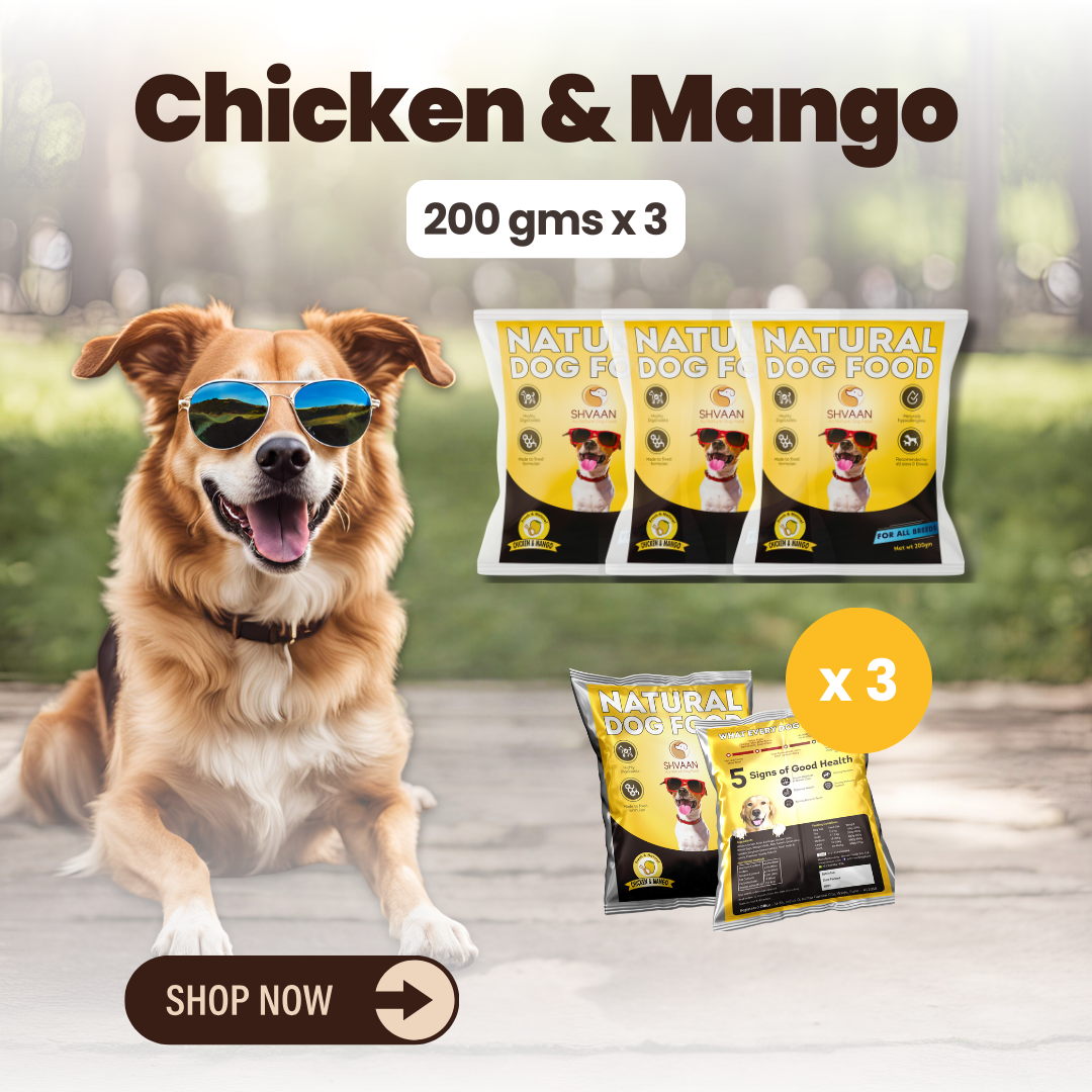 Chicken and Mango wet dog food 3 pack – bulk combo offer - fresh human-grade tropical recipe by Shvaan Foods
