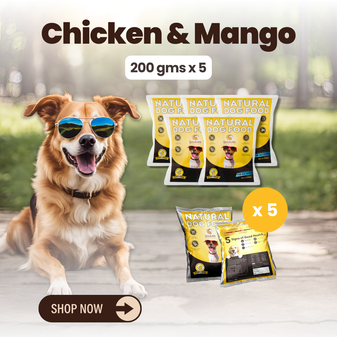 Chicken and Mango wet dog food 5 pack – bulk combo offer - fresh human-grade tropical recipe by Shvaan Foods