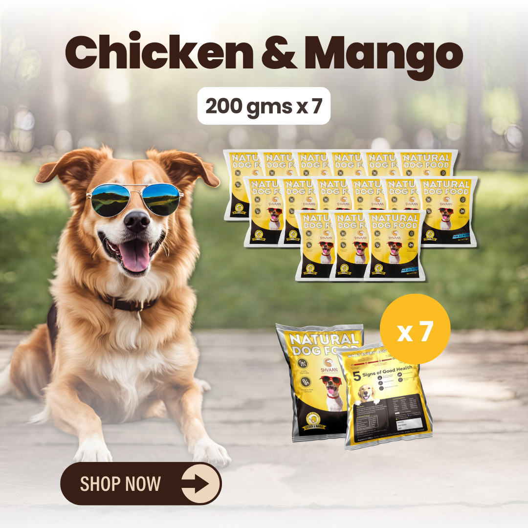 Chicken and Mango wet dog food 7 pack – bulk combo offer - fresh human-grade tropical recipe by Shvaan Foods