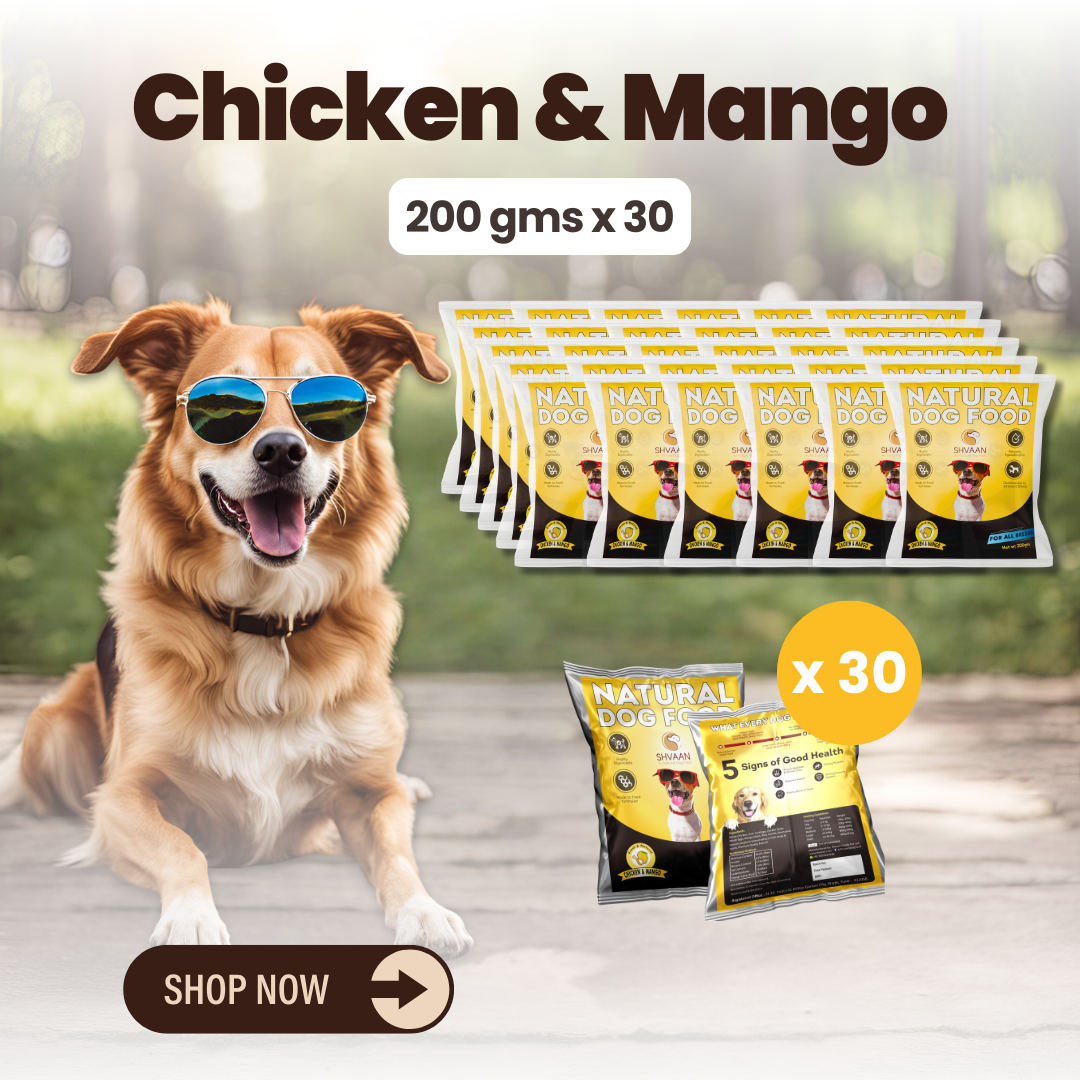 Chicken and Mango wet dog food 30 pack – bulk combo offer - fresh human-grade tropical recipe by Shvaan Foods