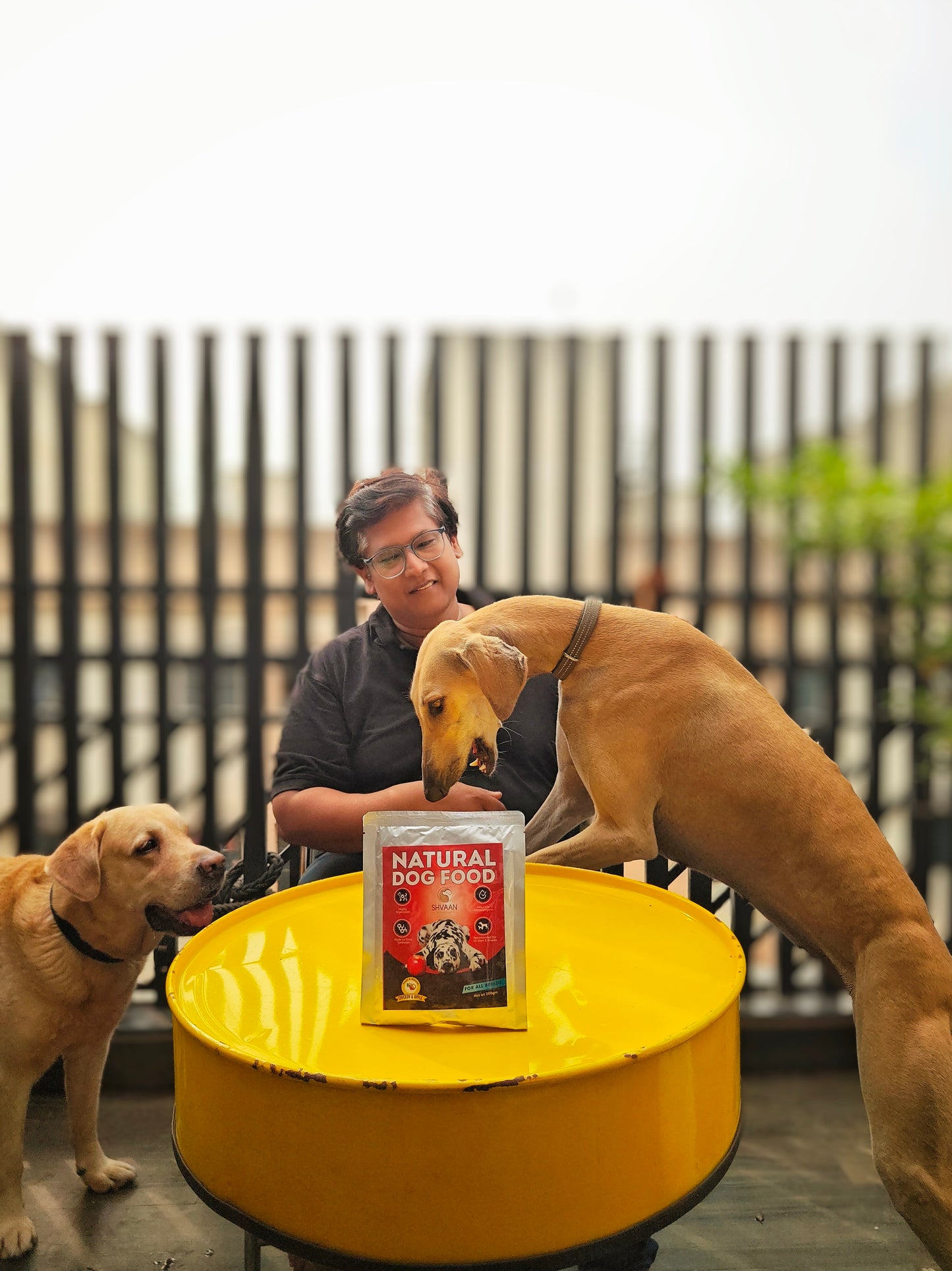 Chicken and Apple - Wet Dog Food 200g