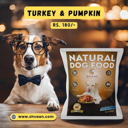 Wet Dog Food Made with Real Turkey and Pumpkin Flavour Pumpkin Turkey 200g