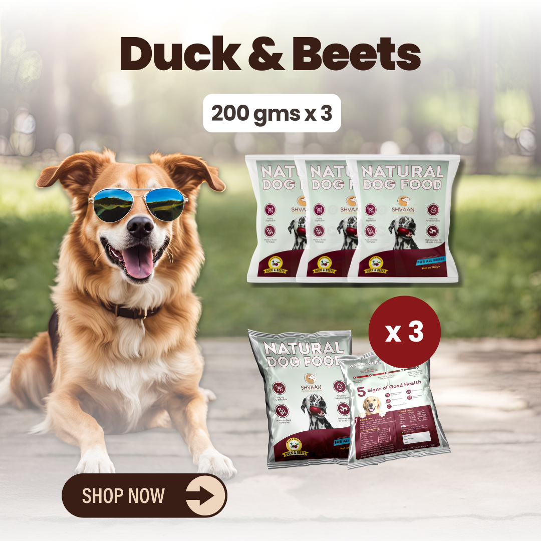 Duck and Beet wet dog food 3 pack – bulk combo offer -rich human-grade recipe by Shvaan Foods