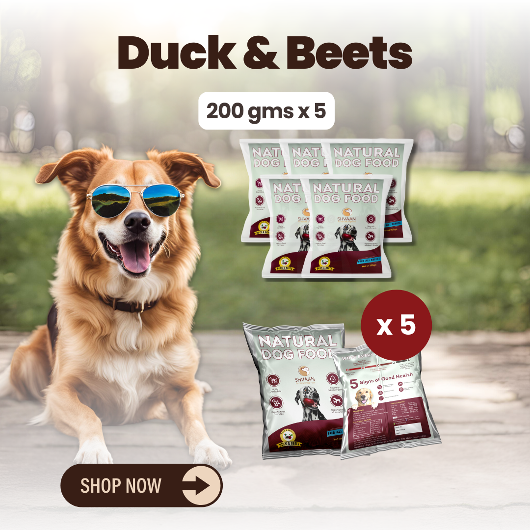 Duck and Beet wet dog food 5 pack – bulk combo offer -rich human-grade recipe by Shvaan Foods