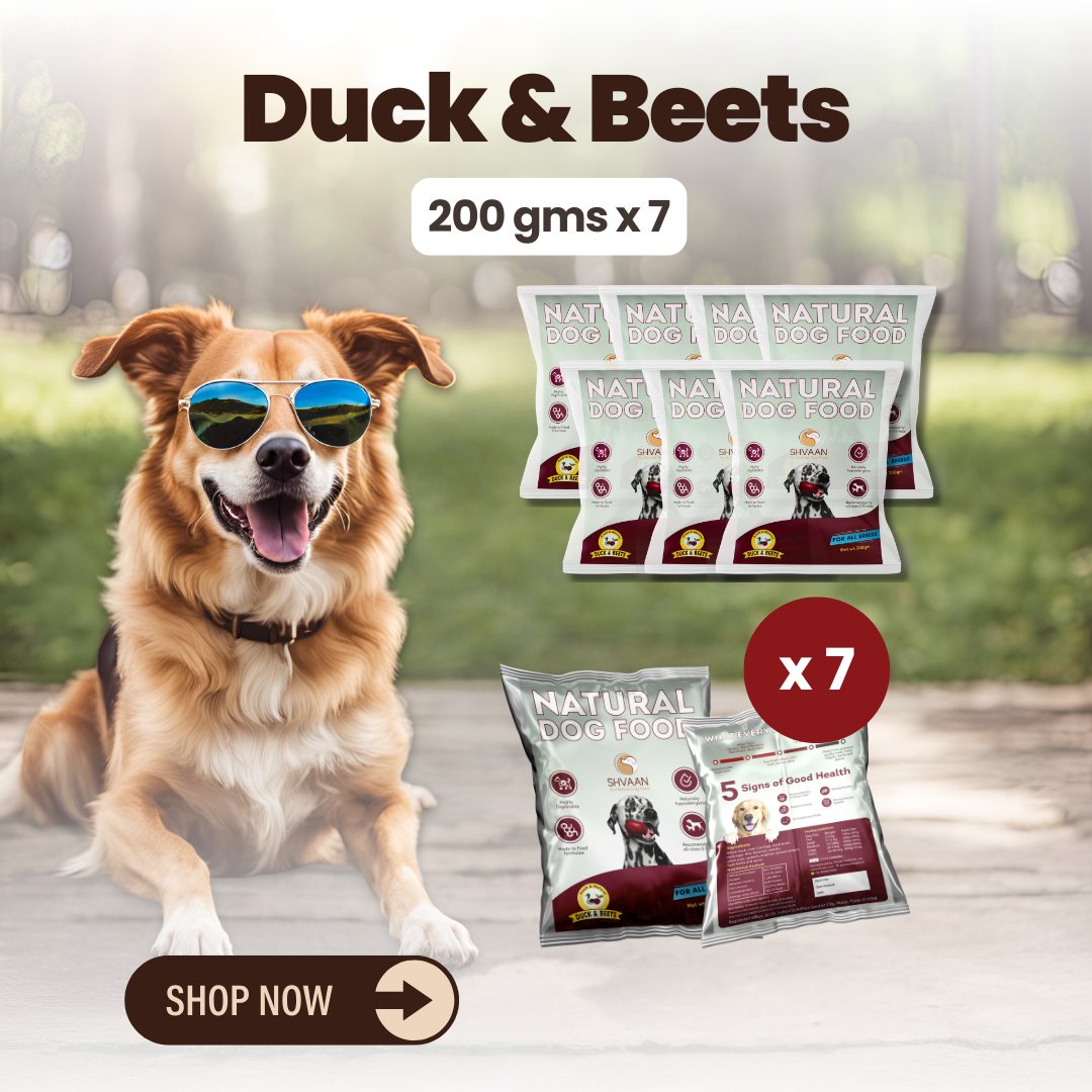 Duck and Beet wet dog food 7 pack – bulk combo offer -rich human-grade recipe by Shvaan Foods