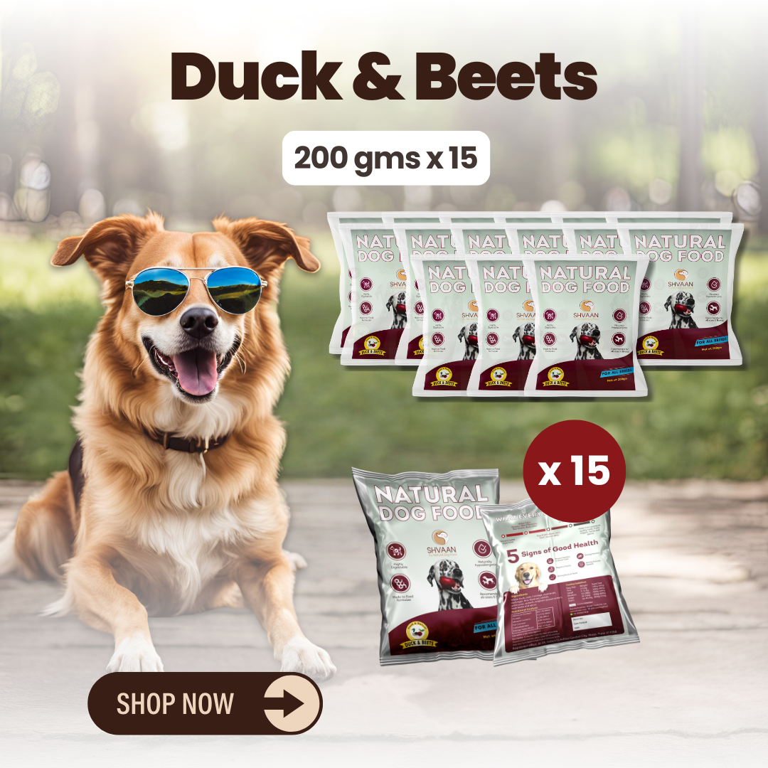 Duck and Beet wet dog food 15 pack – bulk combo offer -rich human-grade recipe by Shvaan Foods