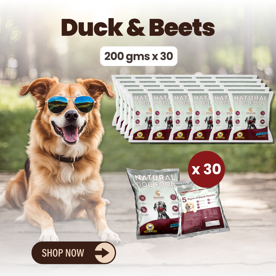 Duck and Beet wet dog food 30 pack – bulk combo offer -rich human-grade recipe by Shvaan Foods