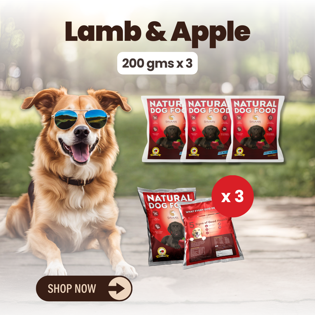 Lamb and Apple wet dog food 3 pack – bulk combo offer -gourmet human-grade recipe by Shvaan Foods