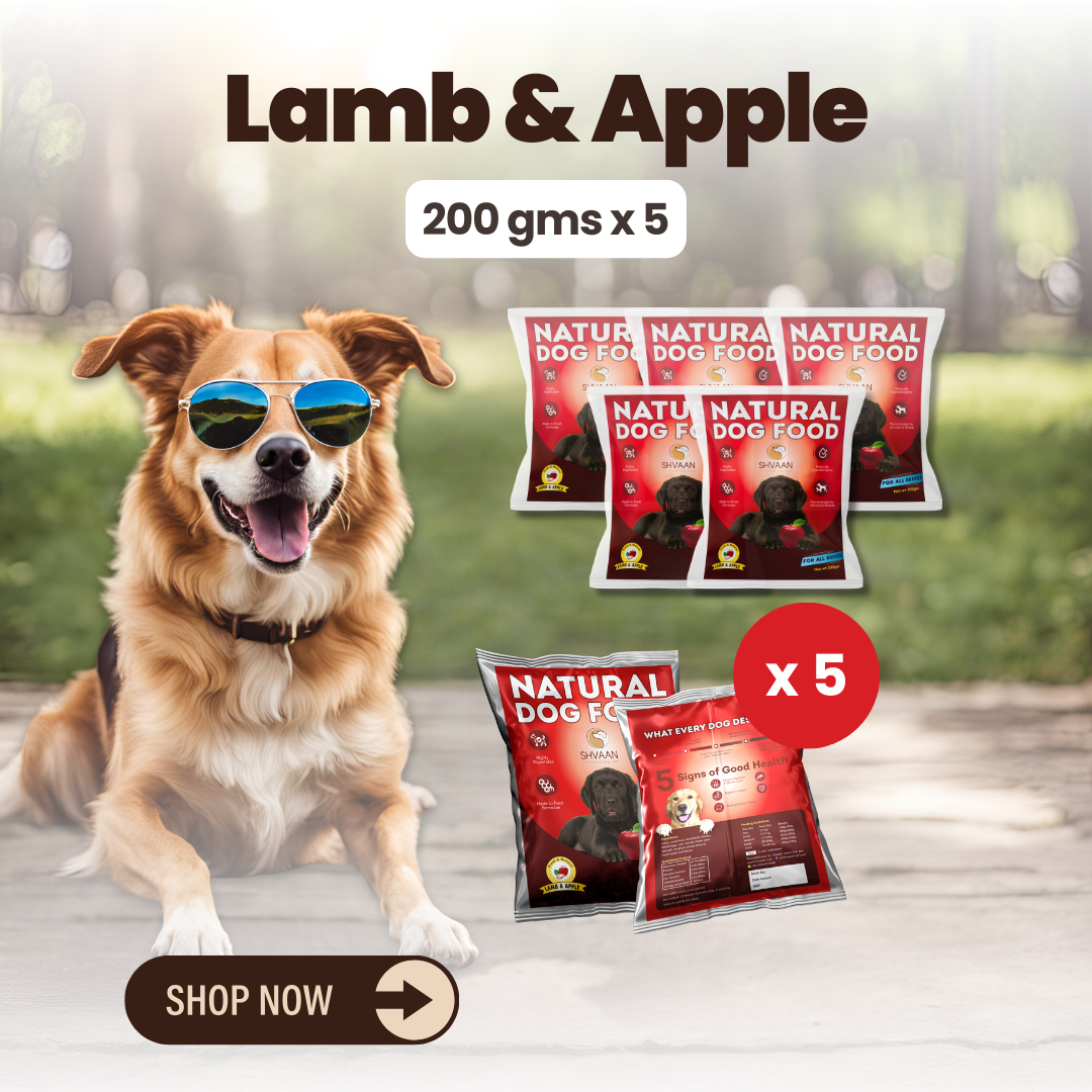 Lamb and Apple wet dog food 5 pack – bulk combo offer -gourmet human-grade recipe by Shvaan Foods