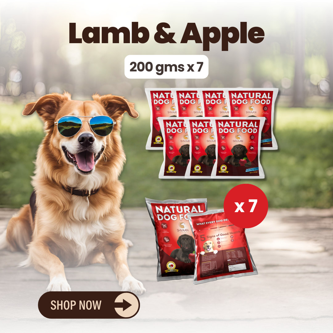 Lamb and Apple wet dog food 7 pack – bulk combo offer -gourmet human-grade recipe by Shvaan Foods