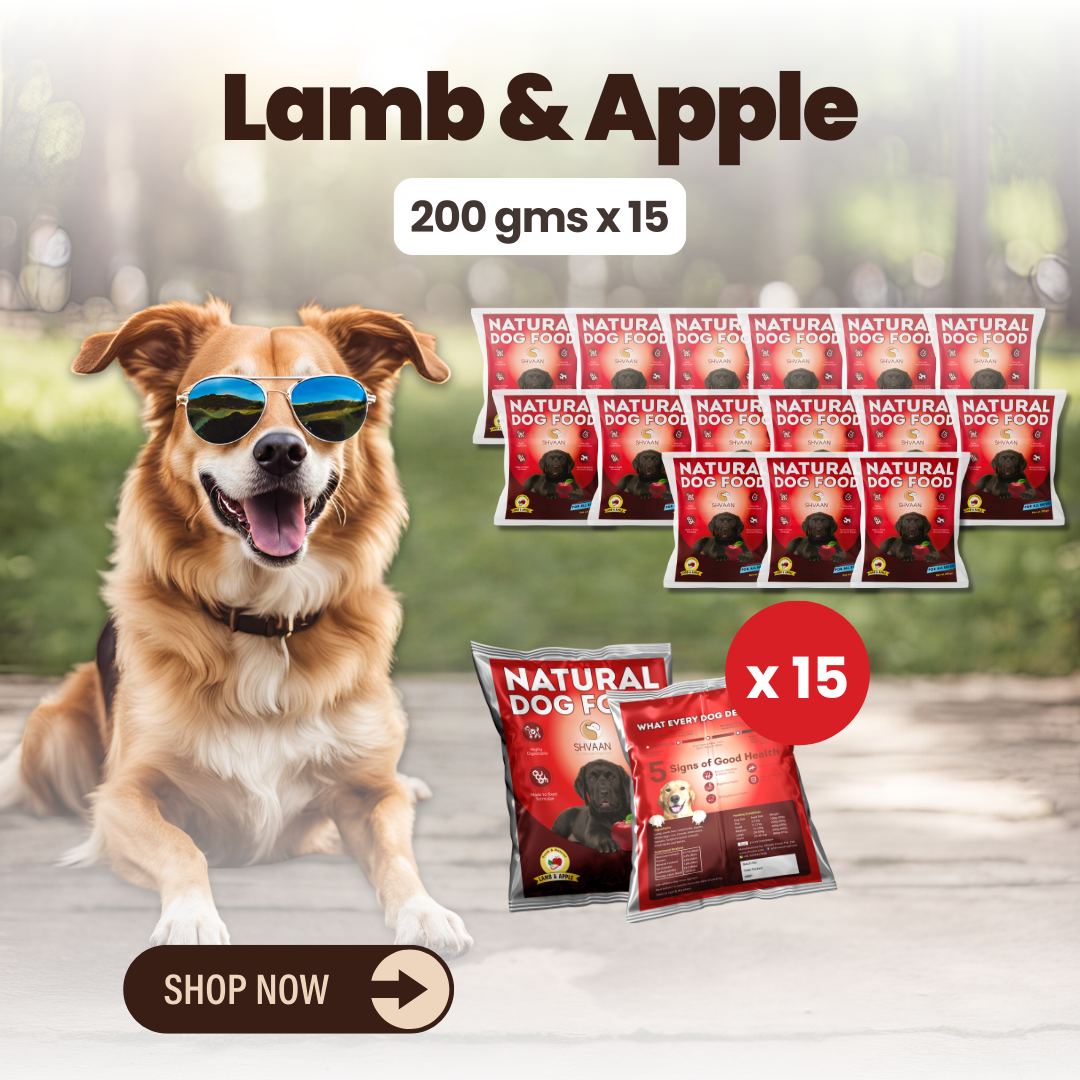 Lamb and Apple wet dog food 15 pack – bulk combo offer -gourmet human-grade recipe by Shvaan Foods