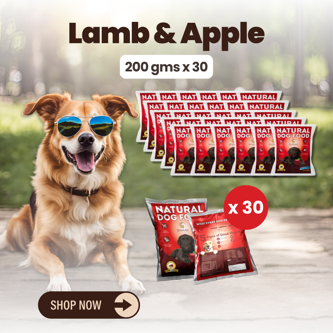 Lamb and Apple wet dog food 30 pack – bulk combo offer -gourmet human-grade recipe by Shvaan Foods