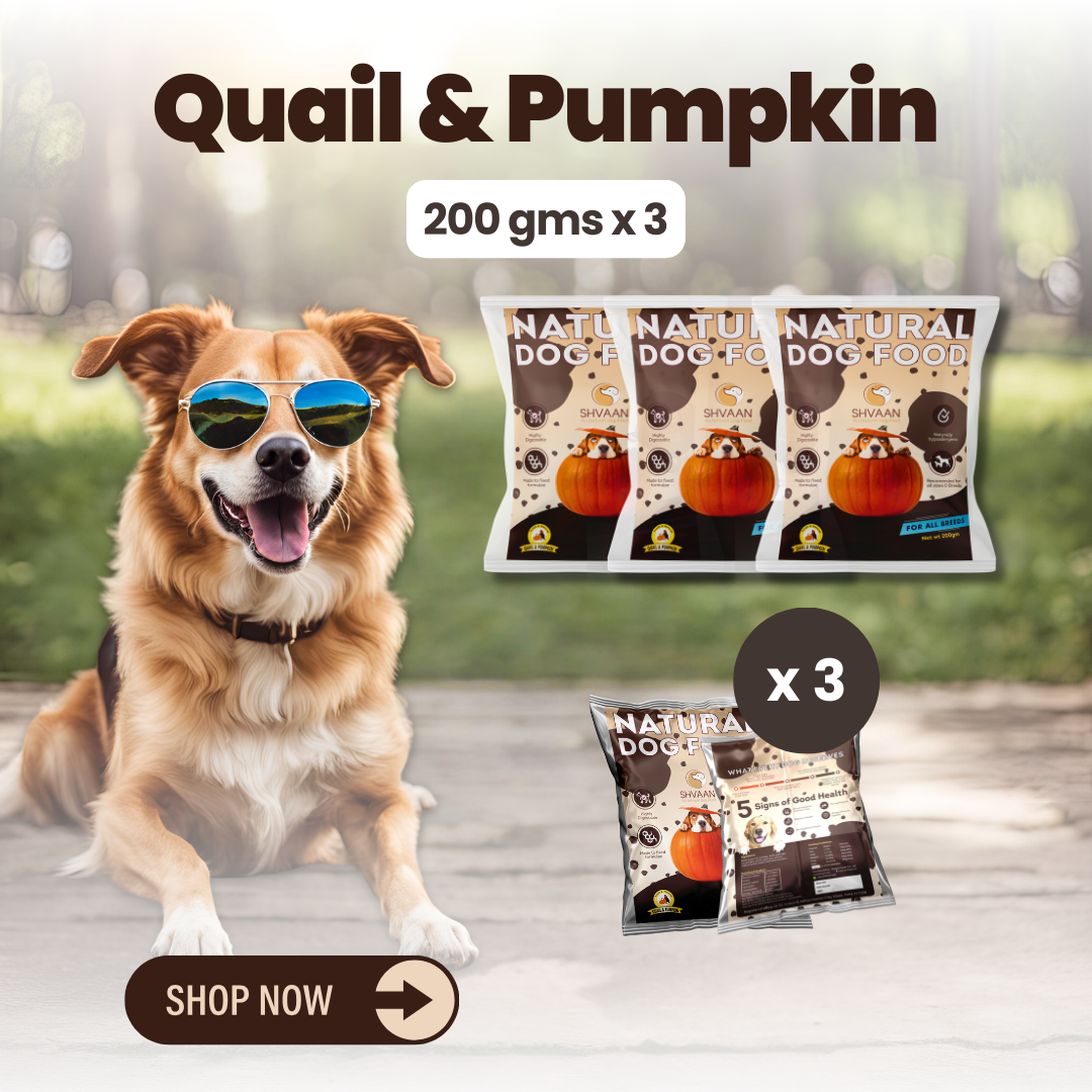 Quail and Pumpkin wet dog food 3 pack – bulk combo offer -gentle human-grade recipe by Shvaan Foods