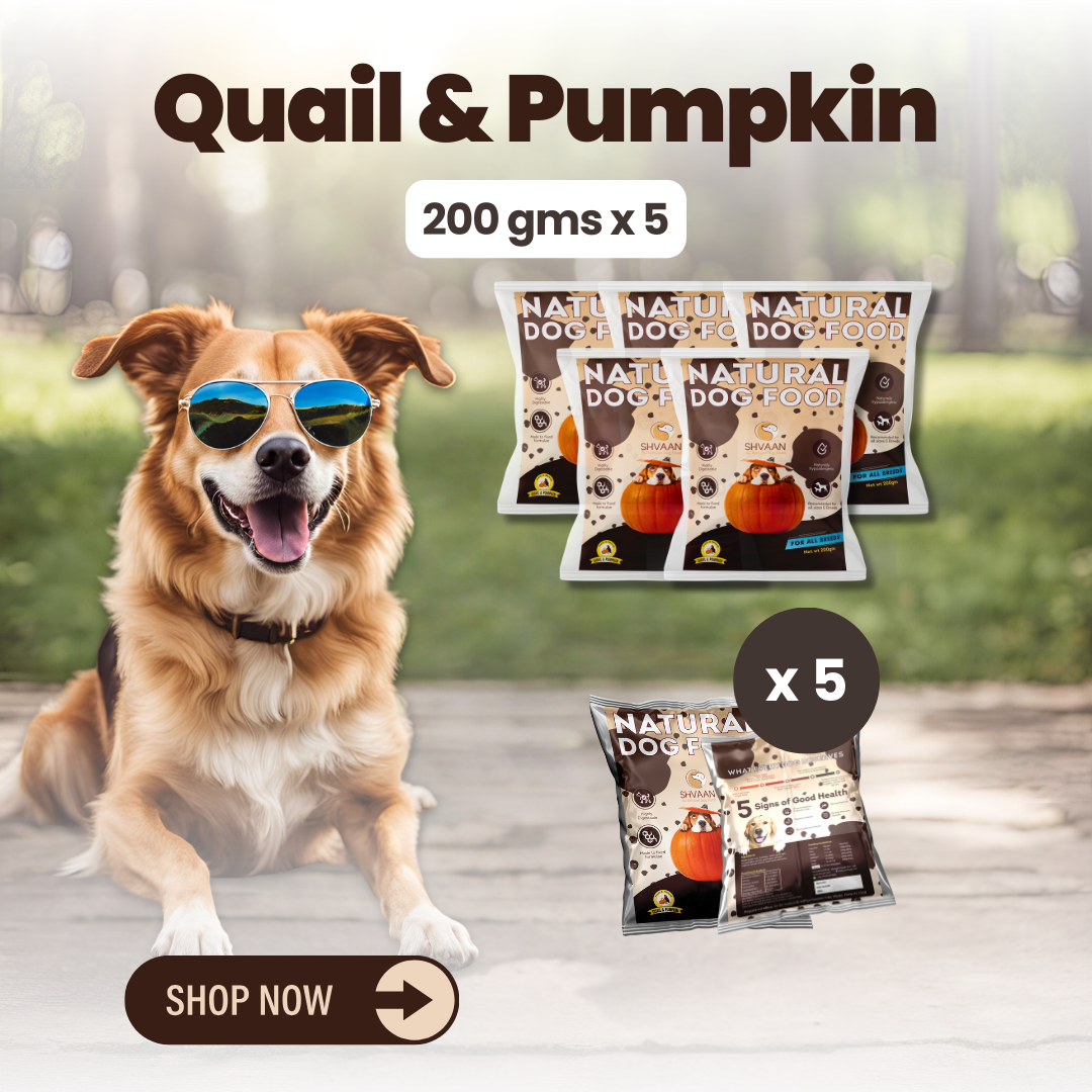 Quail and Pumpkin wet dog food 5 pack – bulk combo offer -gentle human-grade recipe by Shvaan Foods