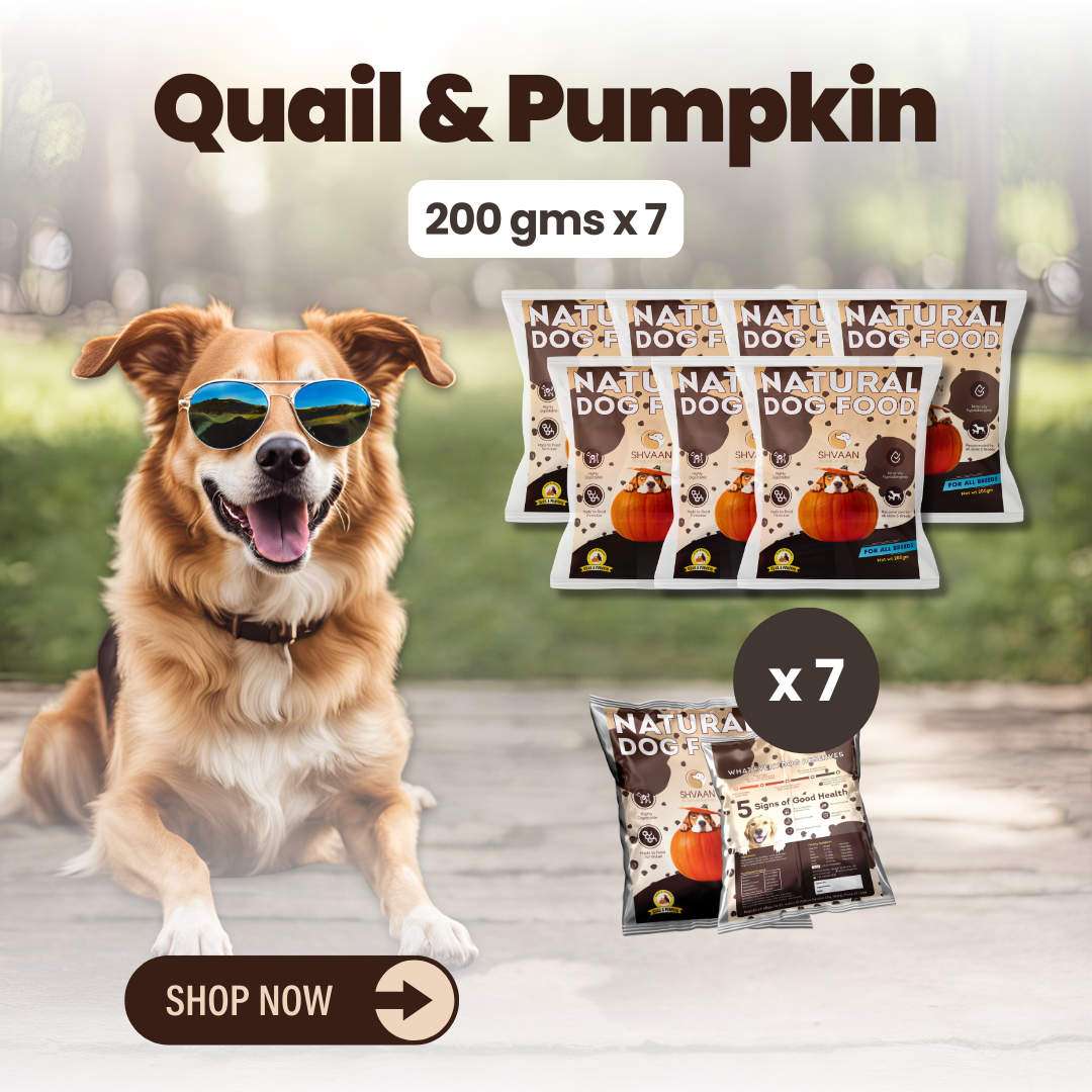 Quail and Pumpkin wet dog food 5 pack – bulk combo offer -gentle human-grade recipe by Shvaan Foods