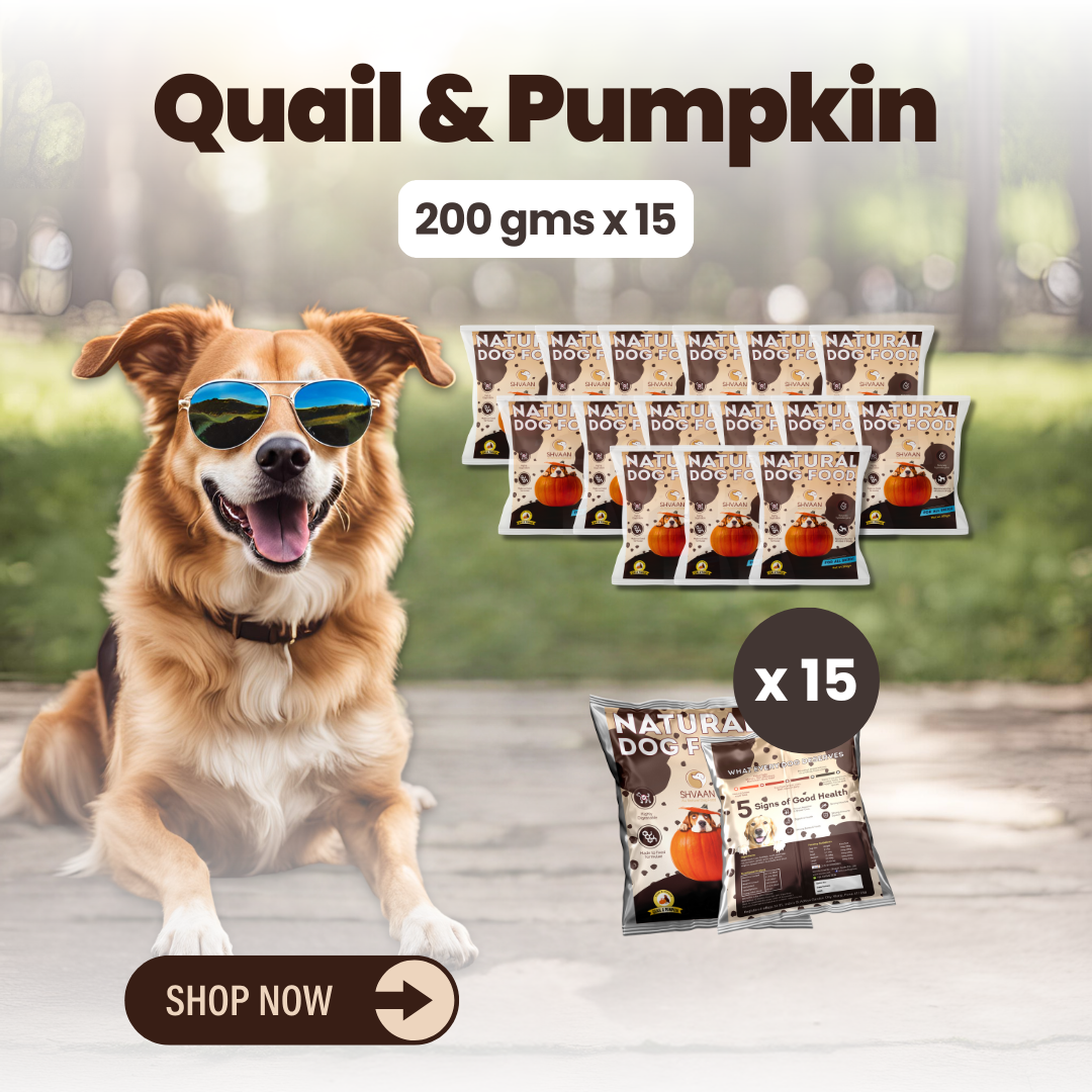 Quail and Pumpkin wet dog food 15 pack – bulk combo offer -gentle human-grade recipe by Shvaan Foods