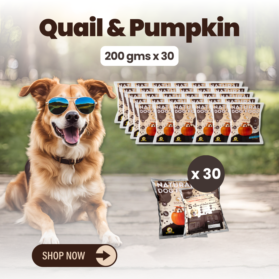Quail and Pumpkin wet dog food 30 pack – bulk combo offer -gentle human-grade recipe by Shvaan Foods